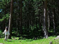 -芦芽山旅游度假区