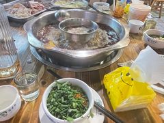 -金鼎雪山牦牛杂火锅(理县总店)