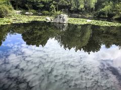 -上海吴淞炮台湾国家湿地公园