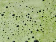 -广州柏悦酒店·悦景轩·粤菜餐厅