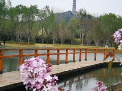 -北坞公园