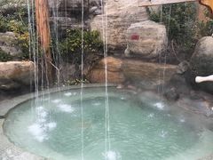 -仁爱团泊湖温泉中心