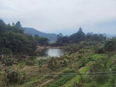 -天强农家菜馆