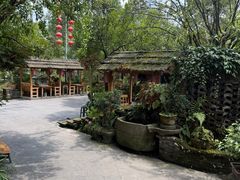 -青城甲(青城山店)