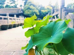 -包公祠