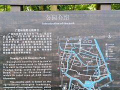 -广富林郊野公园