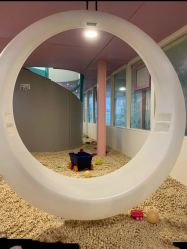 -多多淘儿童体验中心(重庆来福士店)