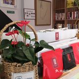 珍品巴拿马红宝石瑰夏冷萃90+庄园