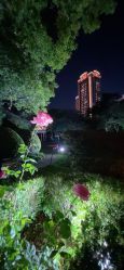 -花园饭店·宴会厅