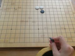 -钟叔烩鸡
