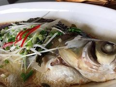 -隐山栖(鸿泰佳园店)