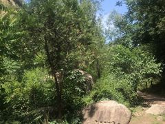 -碓臼峪自然风景区