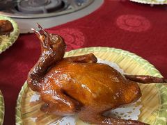 -麻奢鸽农庄·梦里水乡