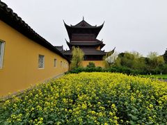 -重元寺香积厨素斋馆