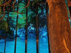 -桂满陇·海市蜃楼·黑金(国金店)