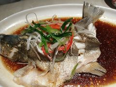 -老头儿油爆虾·三潭印月