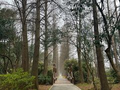 -上海滨江森林公园