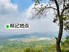 -风云岭森林公园