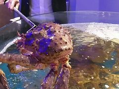 清蒸帝王蟹-蟹之国·精品蟹料理(极地店)