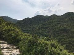 -阳台山自然风景区