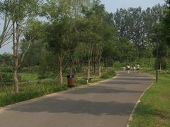 -东郊湿地公园