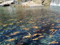 -丽江玉水寨