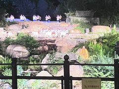 -禅宗少林·音乐大典