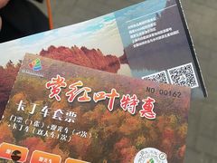 -上海海湾国家森林公园