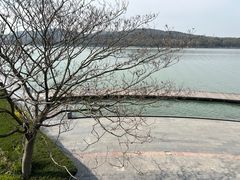 -水上明月·湖景餐厅