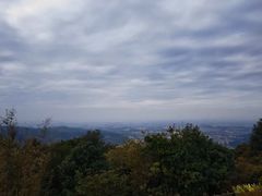 -东莞市大岭山森林公园