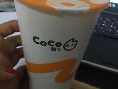 -CoCo都可(骆家庄新店)