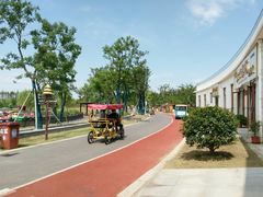 -上海长兴岛郊野公园