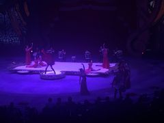 -珠海横琴长隆《卡卡虎奇遇记》