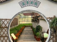 -上海都市菜园