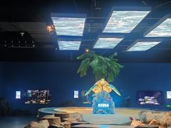 -重庆欢乐海底世界