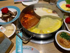 -青瓷火锅料理(西单大悦城店)