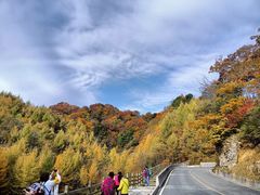 -光雾山旅游景区