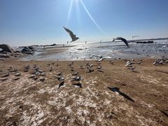 -老虎石海上公园