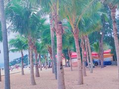 -玫瑰海岸文化旅游度假区