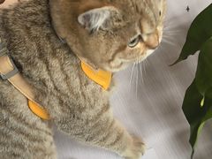 -贝利宠物医院·骨科·眼科·肿瘤转诊中心(南坪诊疗中心)