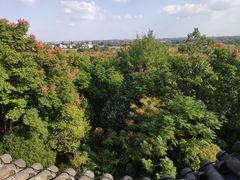-梁鸿国家湿地公园