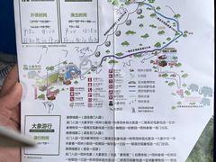 -野象谷景区