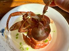 虾怪-九號院子海鲜烧烤