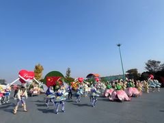-荷兰花海