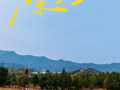 -白水寺森林公园