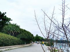 -深圳湾公园(南山区)