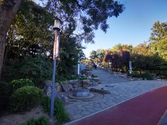 -大兴滨河森林公园