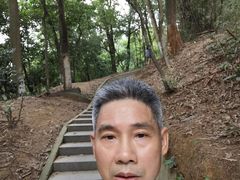 -火炉山森林公园