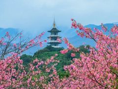 -风云岭森林公园