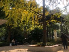 -成都市活水公园